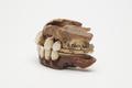 Denture, false teeth Image preview