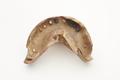 Denture, false teeth Image preview