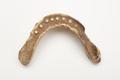 Denture, false teeth Image preview
