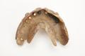 Denture, false teeth Image preview