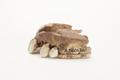 Denture, false teeth Image preview