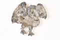 Swan; Bohun Image preview