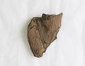 Fragment, wood fragment Image preview