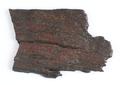 Fragment, wood fragment Image preview
