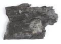 Fragment, wood fragment Image preview