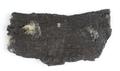 Fragment, wood fragment Image preview