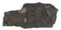Fragment, wood fragment Image preview