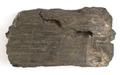 Fragment, wood fragment Image preview