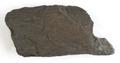 Fragment, wood fragment Image preview