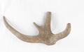 Antler Image preview