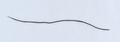 Wire Image preview