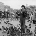 Feeding the pigeons in Trafalgar Square Image preview
