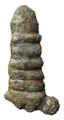 Copper, copper alloy, stud, phallic stud Image preview
