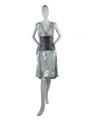 Dress Image preview
